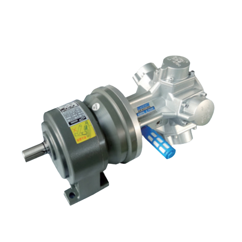 AMP6-C উচ্চ টর্ক গিয়ারযুক্ত এয়ার মোটর