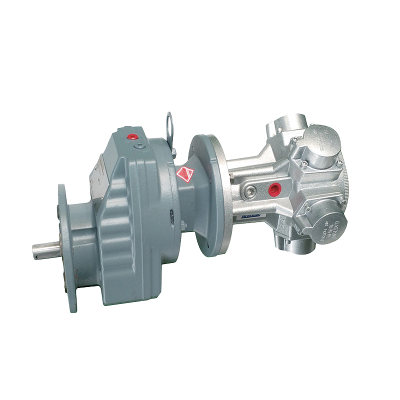 AMP6-R কম গতি কমানোর এয়ার মোটর